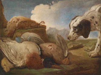 A Hunting Dog Sniffing Dead Game Birds